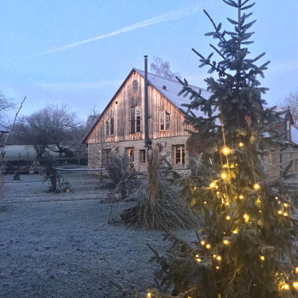 Natursteincottage im Harz zu Weihnachten mit besonderen Ferienwohnungen