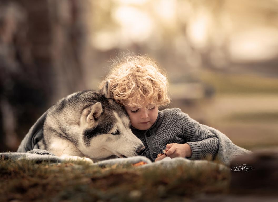 Husky und blonder Junge kuscheln unter einer Decke